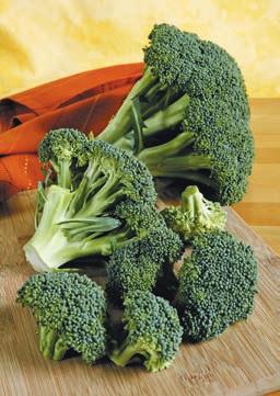 Vitamin C Maine Broccoli