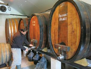 own private winemaking estate near Stellenbosch.