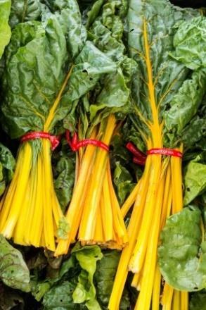 Some examples are Swiss chard and red chard.