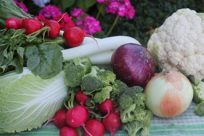 Sulfur vegetables include all of the cruciferous and allium vegetables.