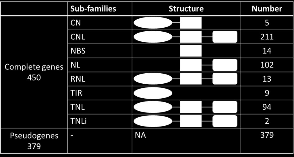 Structural organization