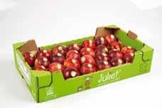 specializing in apples accross the world, Juliet apples are available in a wide range of