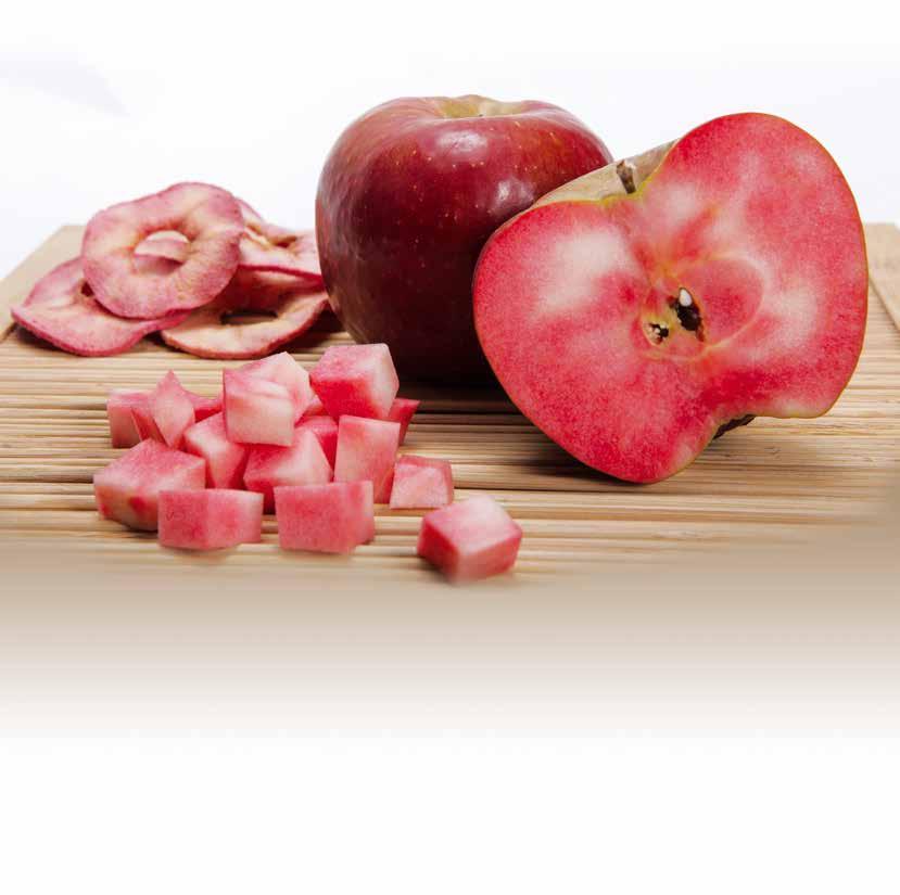 #RED FLESH APPLES Escande Nursey works in close collaboration with Redmoon Srl, an Italian company specializing in the development of red-fleshed apple varieties.