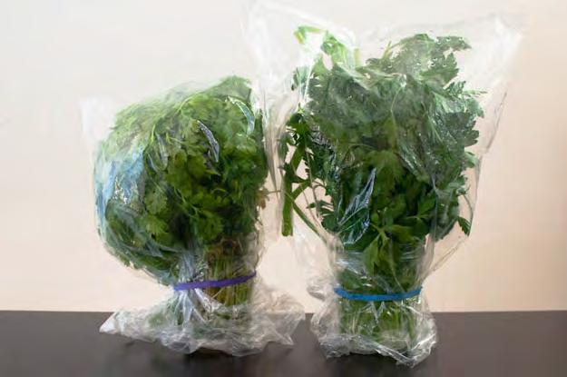 4. Store delicate herbs like flowers, then cover with plastic, secure with a rubberband, and refrigerate