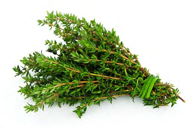 5. Treat oily herbs differently.