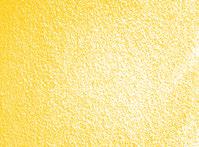 pigment content resulting in semolina with bright yellow colour Strong and extensible gluten PASTA APPLICATIONS Pasta produced from CWAD has bright yellow colour Pasta made from CWAD has excellent