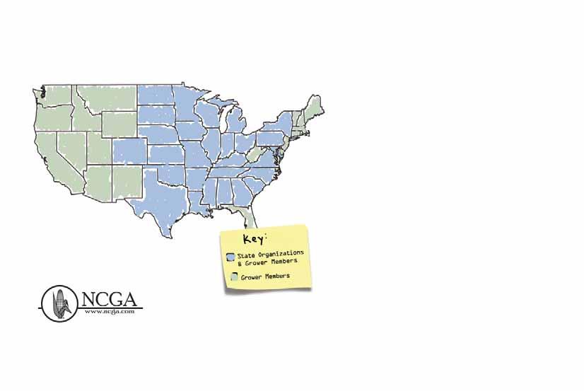 When it comes to membership, NCGA is all over the map. The National Corn Growers Association (NCGA) is the largest national nonprofit organization representing the interest of U.S. corn farmers.