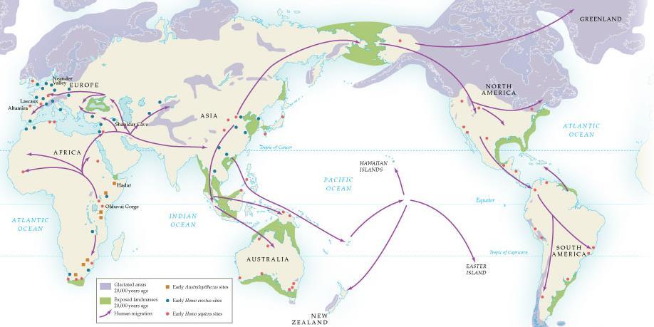 MAP 1.1 Global migrations of Homo erectus and Homo sapiens. On the basis of the sites indicated, compare the extent of Homo erectus and Homo sapiens migrations out of Africa.