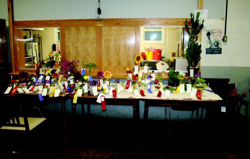 DEPARTMENT N - FLOWER SHOW PRIZES: 1st - $3.00; 2nd - $2.00; 3rd - $1.00 Prize money not collected by 11:00 p.m. Saturday night will be forfeited. SPECIAL RULES: 1.
