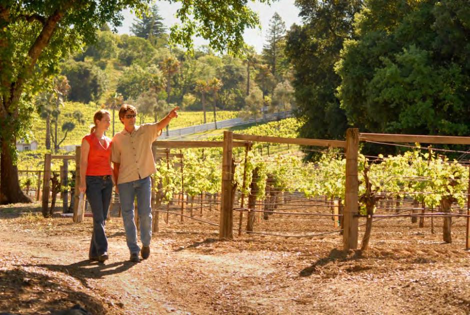 6. Vineyard Adventure Program Goals of Program: Provide a vineyard next to a winery where on any given day consumers can tour a vineyard Develop a self-guided vineyard tour in each vineyard where
