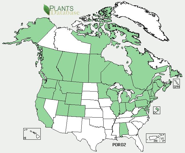 Distribution limited to ~ half US states and most of Canada.