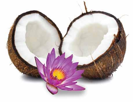 Be it coconut milk, cream or coconut milk powder, Renuka has consistently been delivering the freshest tastings and luscious textures.