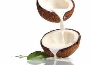 CANNED COCONUT MILK Renuka offers coconut milk in three main variants, low fat/thin milk, regular and cream.