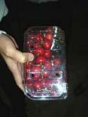 8 Strawberries from Oxnard; Cherries from Lodi Composition of Ripe