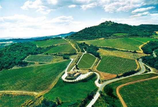 Municipality Province Region Nation Val d'orcia Montalcino Siena Tuscany Italy