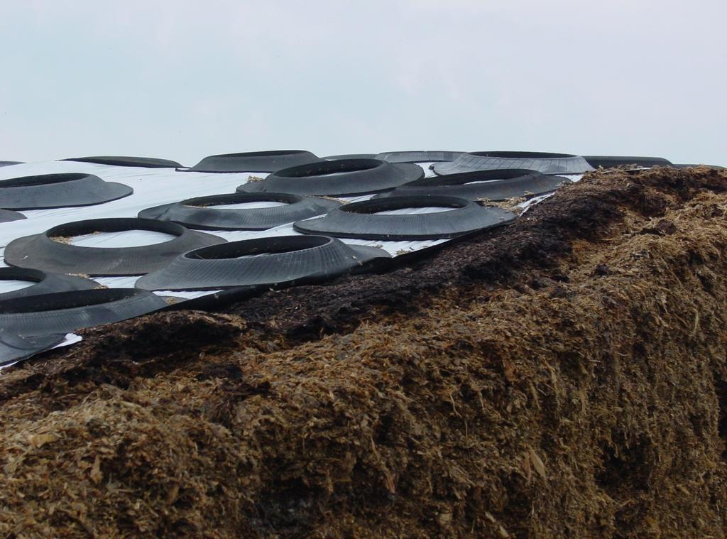 Case Study Dairy 7,000-ton pile of corn silage the 1 st yr 11.