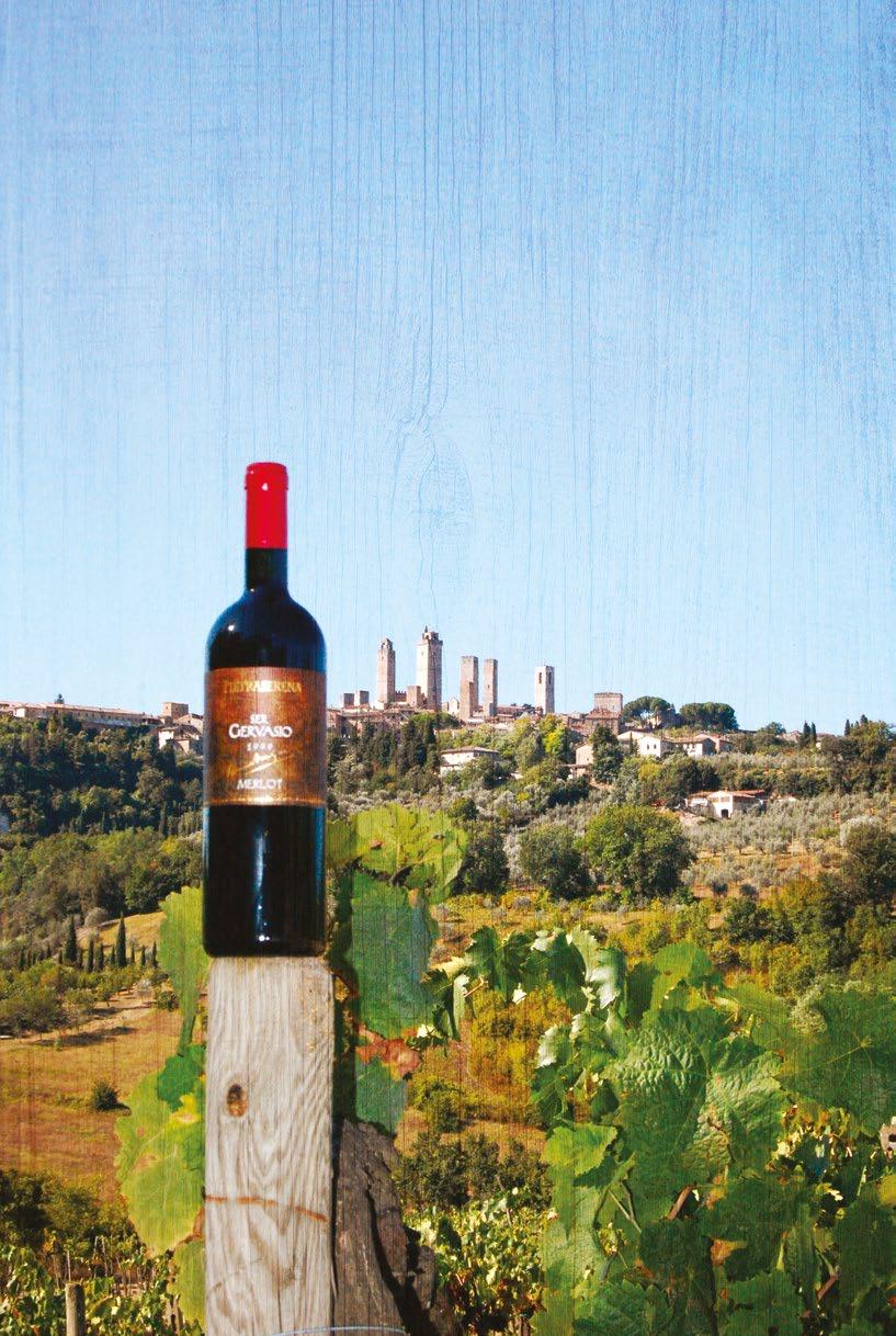TENUTA "SER GERVASIO MERLOT" - Toscana I.g.t. Merlot This wine is dedicated to the founder of the business: Grandfather Gervasio Pagni who started it in 1913. It is obtained with Merlot grapes (100%).