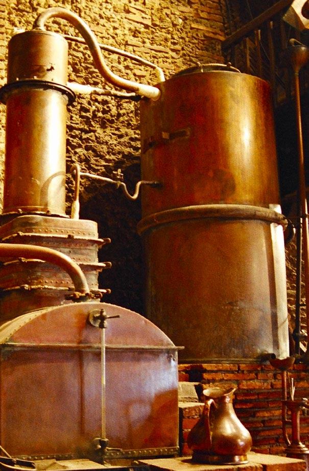 For this reason, we entrust the distillation of our grappa to the master Franco Barbero of Mombercelli, and the final result is of great quality.