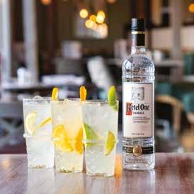TEN Distilled with hand-picked fresh fruit and botanicals, including white grapefruit, orange, lime, juniper, coriander and chamomile HENDRICK S Juniper and floral flavours abound in this most