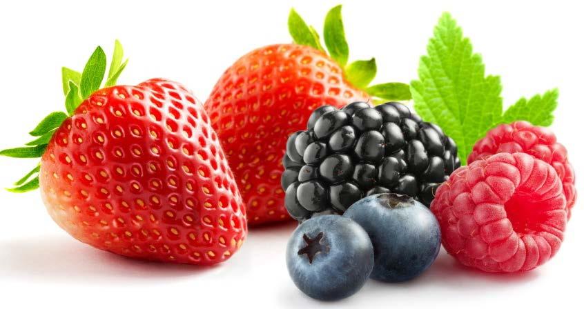 30 Super Sour Shots 15SK111 Sour Red Berries 0550172 Berry Flavour Sugar g/l 220,0 Ethanol %Vol 15,0 As citric acid g/l