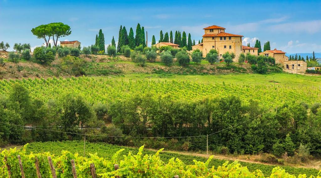 Castellina in Chianti: A hilltop Chianti Classico is produced here, since the vines are planted up to 600 meters above sea level.