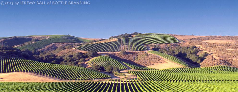 ..191 Acres of wine grapes grown in Santa Barbara County (2014)...21,052 Acres Avg. yield per acre (2014)...4.37 Avg. price per ton (2014).
