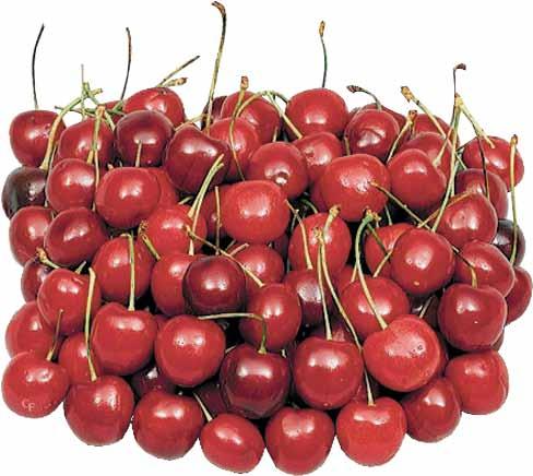 Sweet Red Cherries 5 oz.