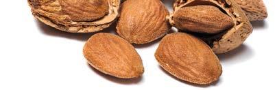 COUNTRY ESTIMATED WORLD ALMOND CONSUMPTION (Kernel Basis) 2012 2013 2014 2015 2016 USA 261,306 0.91 1.81 282,672 0.96 1.91 278,435 0.95 1.91 257,919 0.88 1.76 315,736 0.98 1.96 India 94,536 0.08 0.