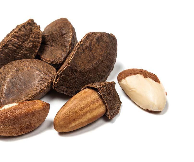 BRAZIL NUTS BRAZIL NUT IMPORTS / Shelled (Metric Tons) COUNTRY 2006 2007 2008 2009 2010 2011 2012 2013 2014 2015 2016 Growth 2006-2016 UK* 7,876 9,034 7,548 7,123 6,956 6,836 5,382 6,203 6,680 7,361