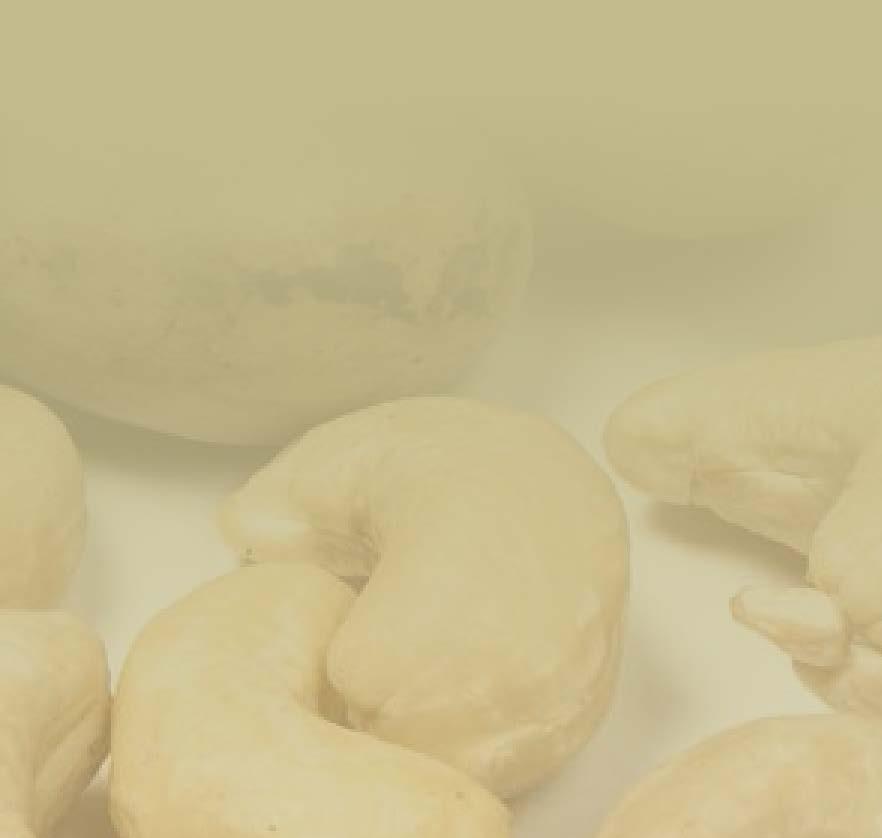 CASHEWS CASHEW IMPORTS / Shelled (Metric Tons) COUNTRY 2006 2007 2008 2009 2010 2011 2012 2013 2014 2015 2016 Growth 2006-2016 USA 116,877 124,665 112,800 124,768 132,458 114,832 111,322 131,419