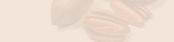 EXPORTS WORLD PECAN EXPORTS Shelled (Metric Tons) Exports in 2016 followed the increasing trend already observed in 2015. Up by 86% from 2006, they added up to over 60,500 metric tons.