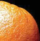 Our commitment to citrus growers goes beyond products At Syngenta, we re proud of the role we play in keeping citrus groves healthy and productive whether it s through a broad portfolio of products,