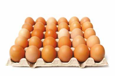 15p N Country Lane Fresh Large Free Range Eggs