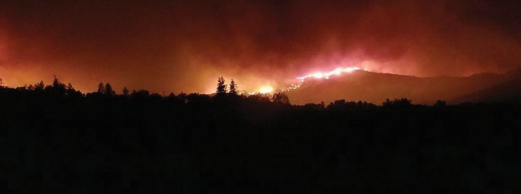 WINTER (INVERNO) Winery Update FIRE!! Fire on ridge in Redwood Valley I M SURE MOST OF YOU SAW SCENES OR HEARD REPORTS OF THE HORRIFIC FIRES THAT RAVAGED NORTHERN CALIFORNIA IN OCTOBER.