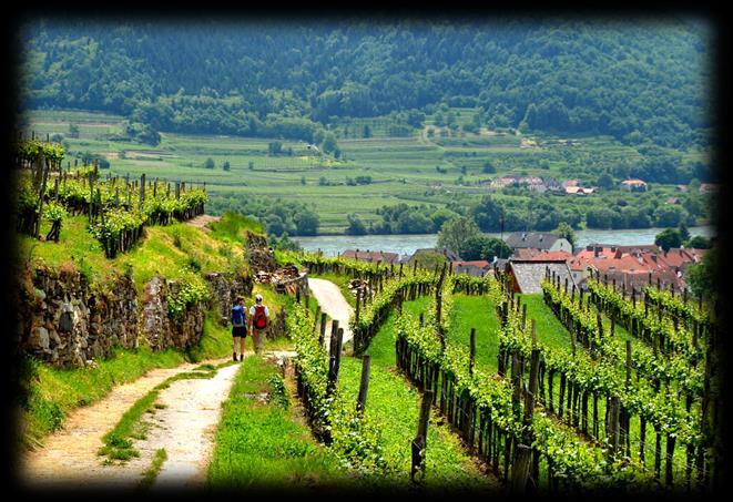 In Hungary we visit Tojaki, one of the world s oldest wine regions which produces some of the best sweet wines in the world.