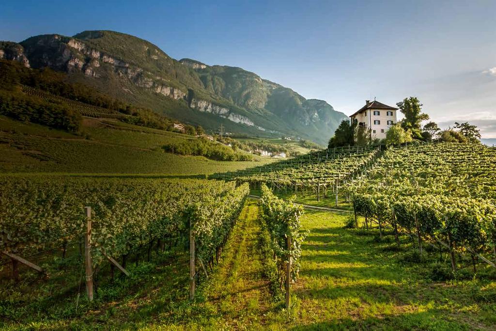 Sloven Germany 24 25 Switzerland Austria Italy The Seven Winegrowing Zones SMALL BUT ALWAYS SOMETHING DIFFERENT The winegrowing area in Alto Adige ranges over a length of just ninety kilometers