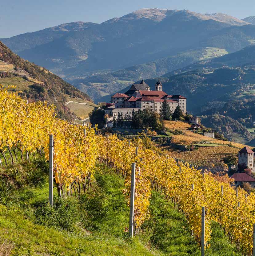Germany Germany 30 31 Switzerland Austria Switzerland Austria Slovenia Sloven Italy Italy Isarco Valley Winegrowing Surrounded by Alpine Peaks Val Venosta Wine Makes Inroads in the Apple Orchards In