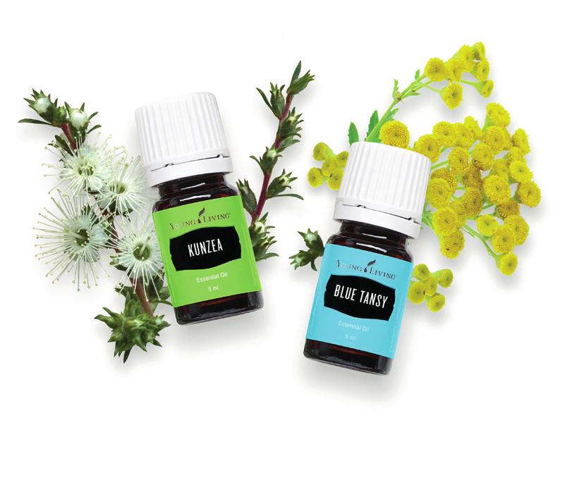 essential oil SINGLES With more than 20 years of research and experience, we ve perfected our Seed to Seal process to ensure that our essential oils are the finest available.