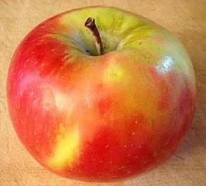 Honeycrisp Maturity: grouped by titratable acidity lots TA % starch (1-6) SSC % color (1-5)
