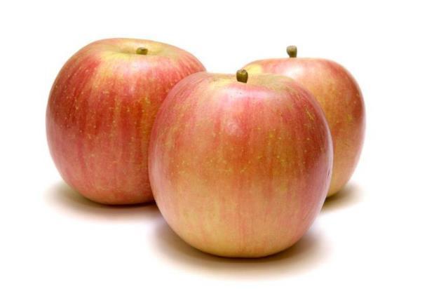 Apple Fruit Volatiles Unripe: aldehydes -green, grassy Ripe: