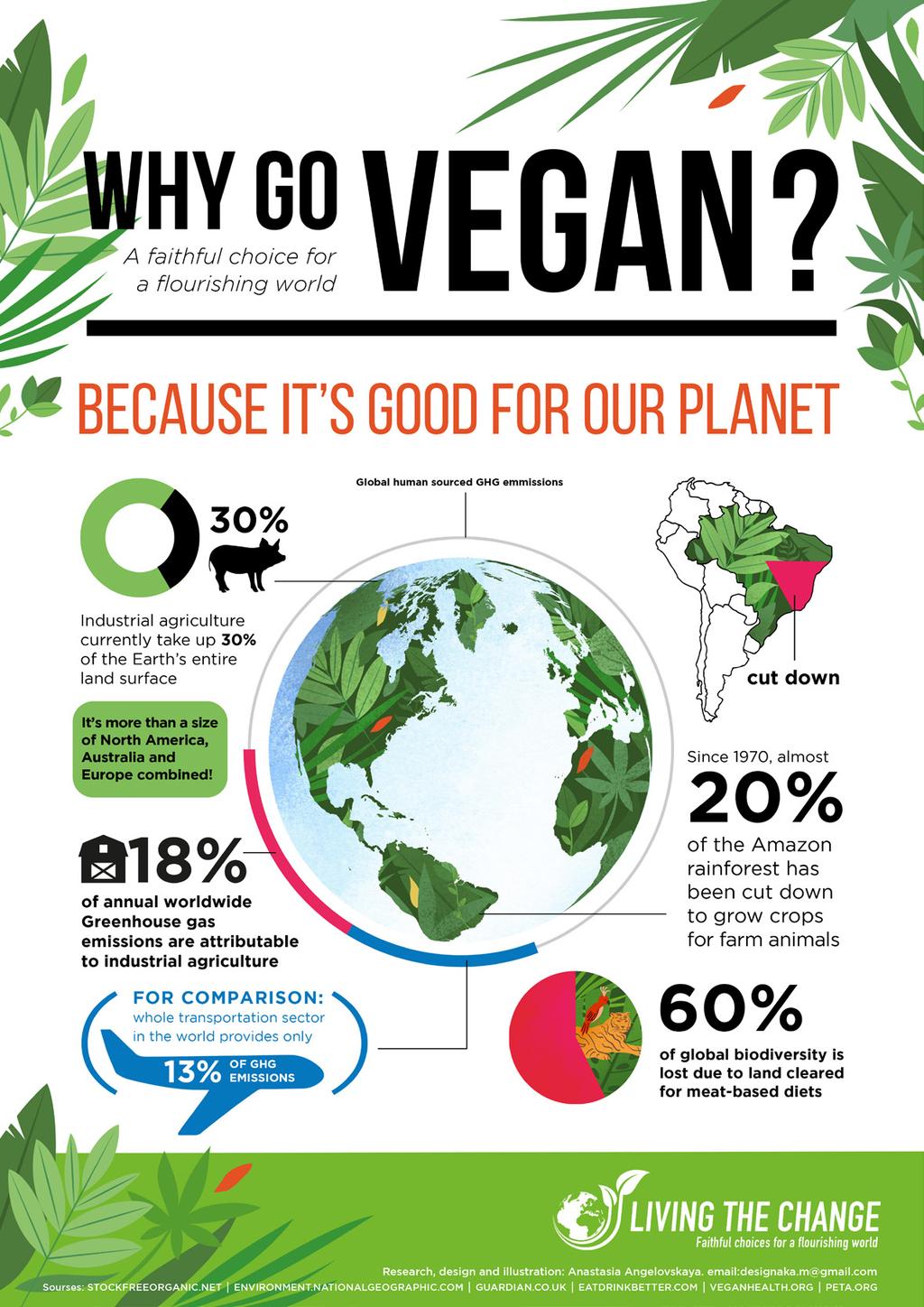 Why go vegan?