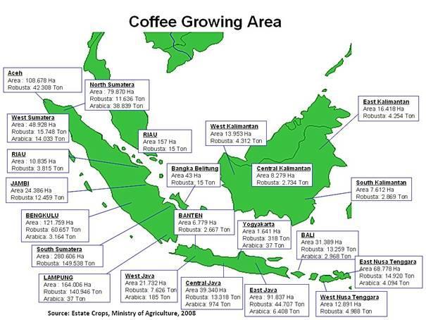 Commodities: Coffee, Green Production: FAS Jakarta has revised the forecasts of MY 2009/10 coffee production from 456,000 tons (7.6 million 60-kg bags) 