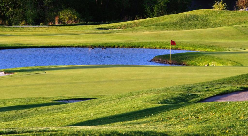 Welcome Royal Woodbine offers an 18-Hole Championship Course for golfers of all skill levels. We are conveniently located just 20 minutes from downtown Toronto close to Pearson International Airport.