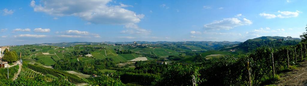 To Luigi s advantage, they retained the winery and some 32 ha of prime vineyard holdings in Castiglione Falletto, Serralunga d Alba and La Morra. And so began the story of Figli Luigi Oddero.