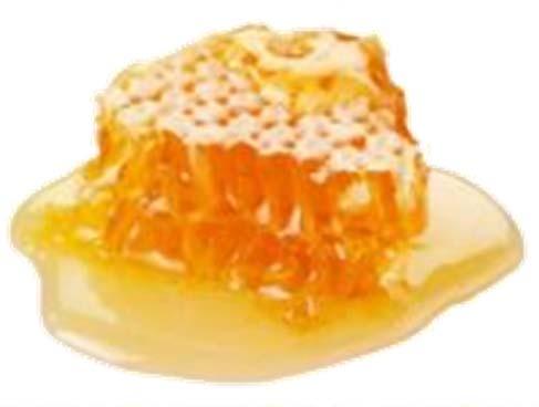 concentrated in the states of Yucatan, Campeche, Jalisco, Veracruz and Guerrero Advantages ofmexican honey