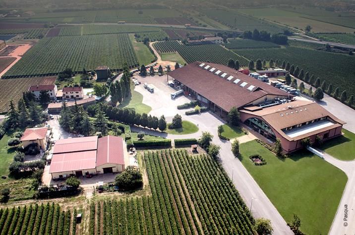 In a short time the company would establish itself on the Italian oenological panorama with the first investments in vineyards taking place the 1940 s and followed by a bottling plant which was