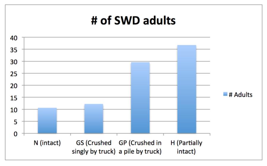 Results show that cracked fruit that was squeezed gently by hand had the most SWD that survived until Figure 1. Driving over fruit to simulate mechanical crushing.