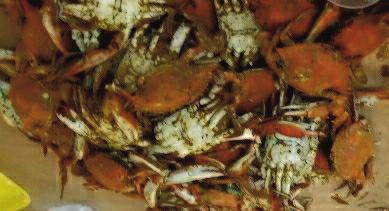 WEEKEND CRAB FEAST PACKAGES Baltimore Crab Feast & Weekend Package Baltimore Weekend Package with the following Feasts Dates 2 Days / 1 Night Gospel Crab & Shrimp Feast August 10 from $319.
