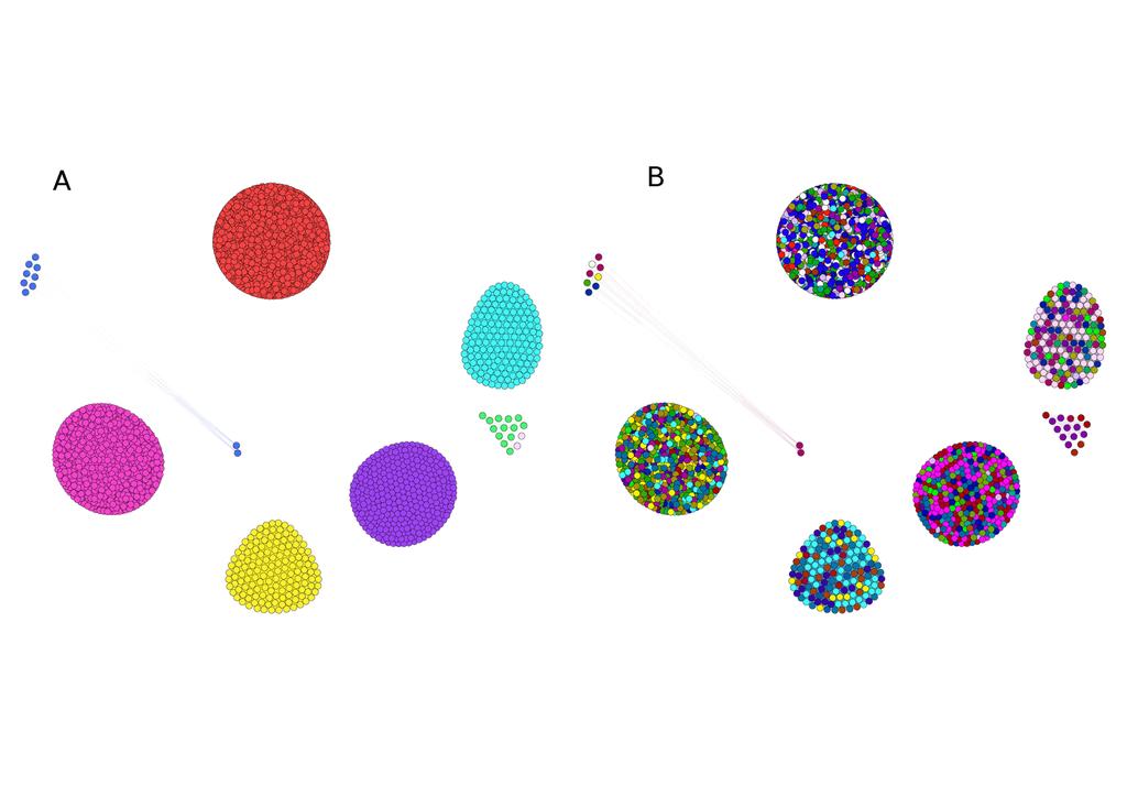 Figure 3. Fruit typology graph communities. G 2 P (N,E) communities detection by modularity method (BL). Only edges with weight w i j = 1 are present.