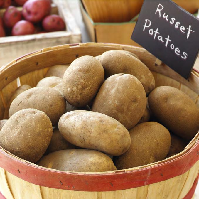 Russets make up most of the Colorado crop, and are characterized by an even oval shape, russet brown color, net-textured skin and few shallow eyes.